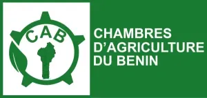 Logo 13